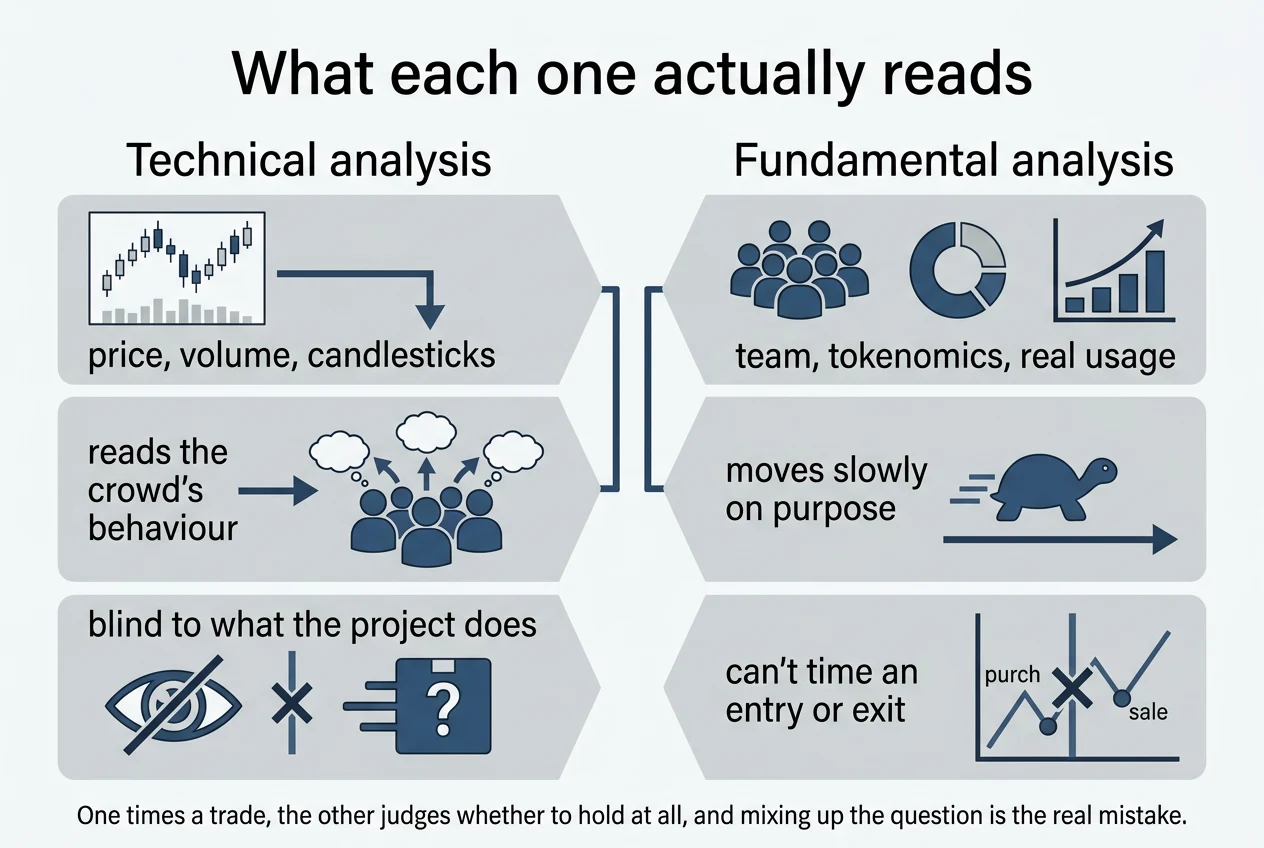 Comparison: What each one actually reads. Technical analysis, Fundamental analysis